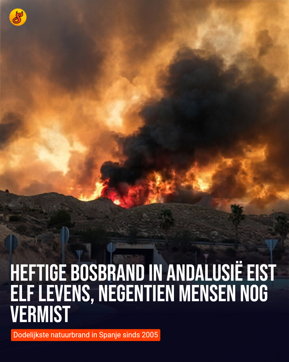 Heftige bosbrand in Andalusië eist elf levens, negentien mensen nog vermist