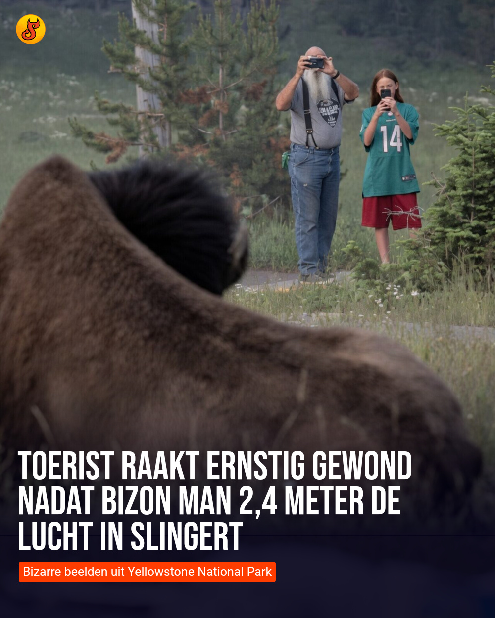 Toerist raakt ernstig gewond nadat bizon man 2,4 meter de lucht in slingert
