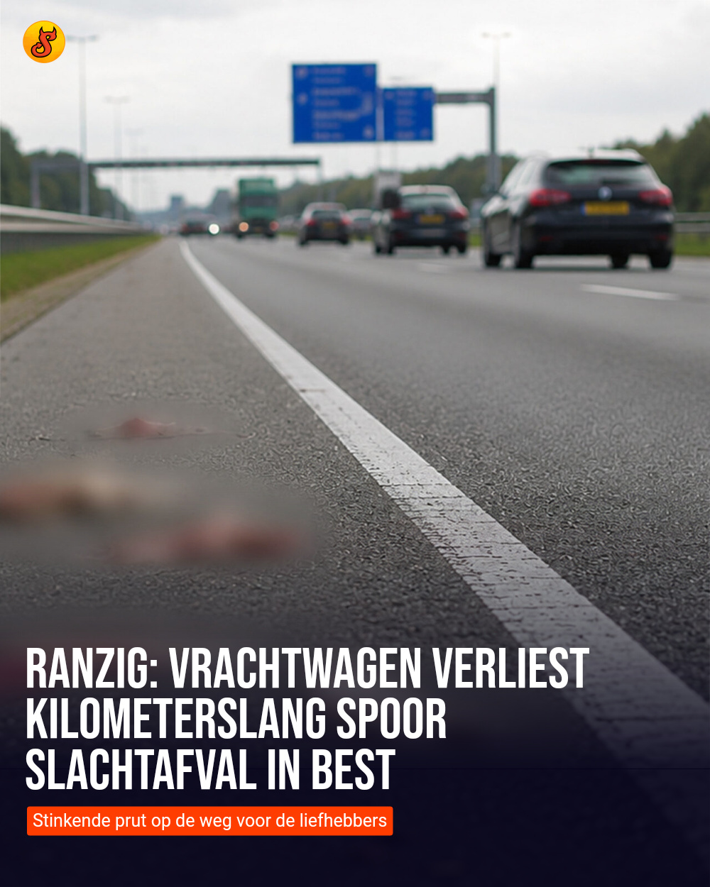 Ranzig: Vrachtwagen verliest kilometerslang spoor slachtafval in Best