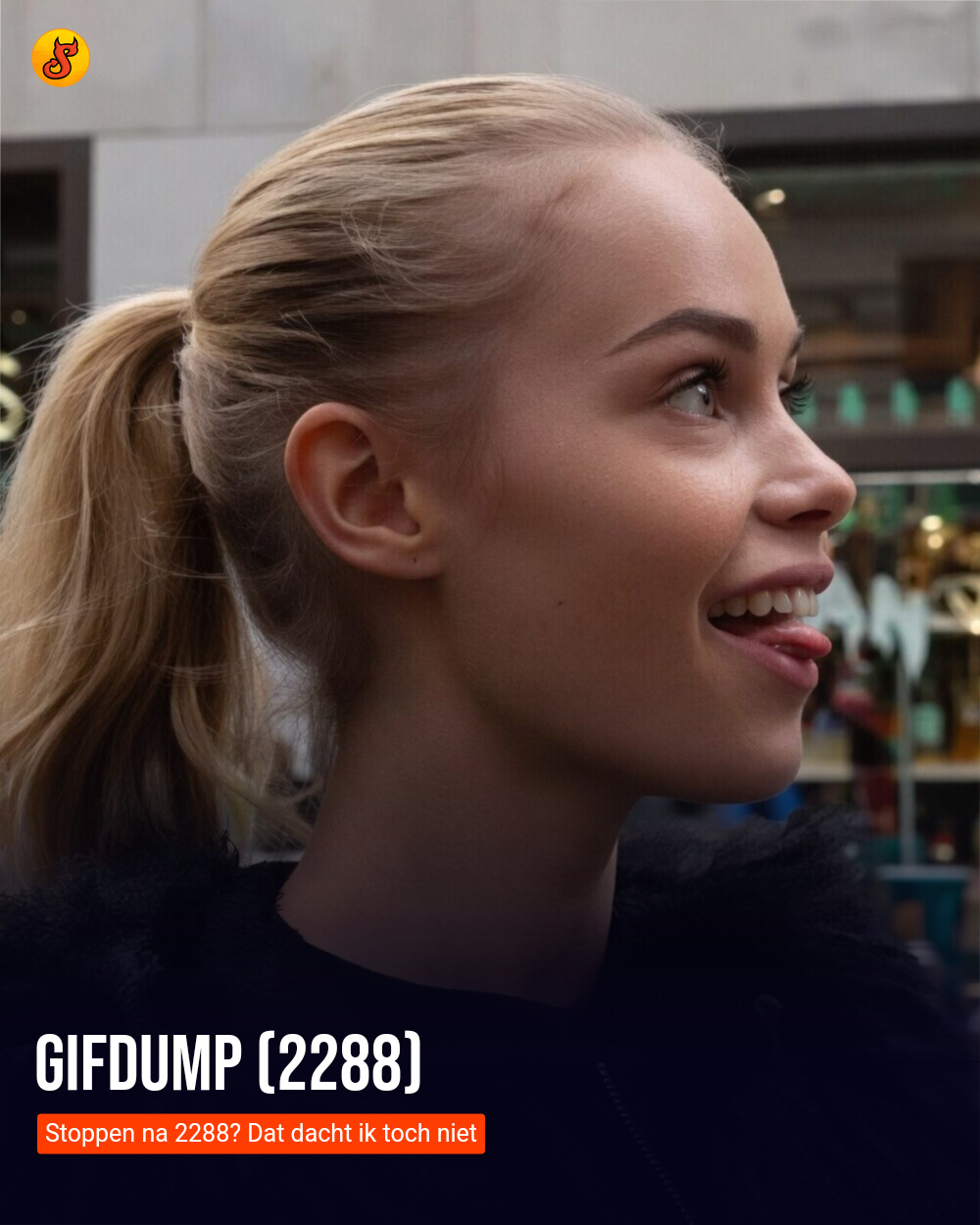 Gifdump (2288)