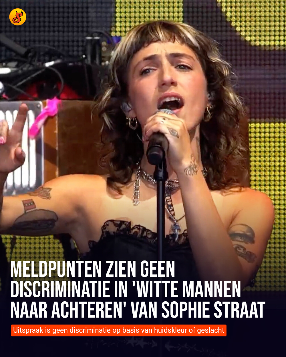 Meldpunten zien geen discriminatie in 'witte mannen naar achteren' van Sophie Straat