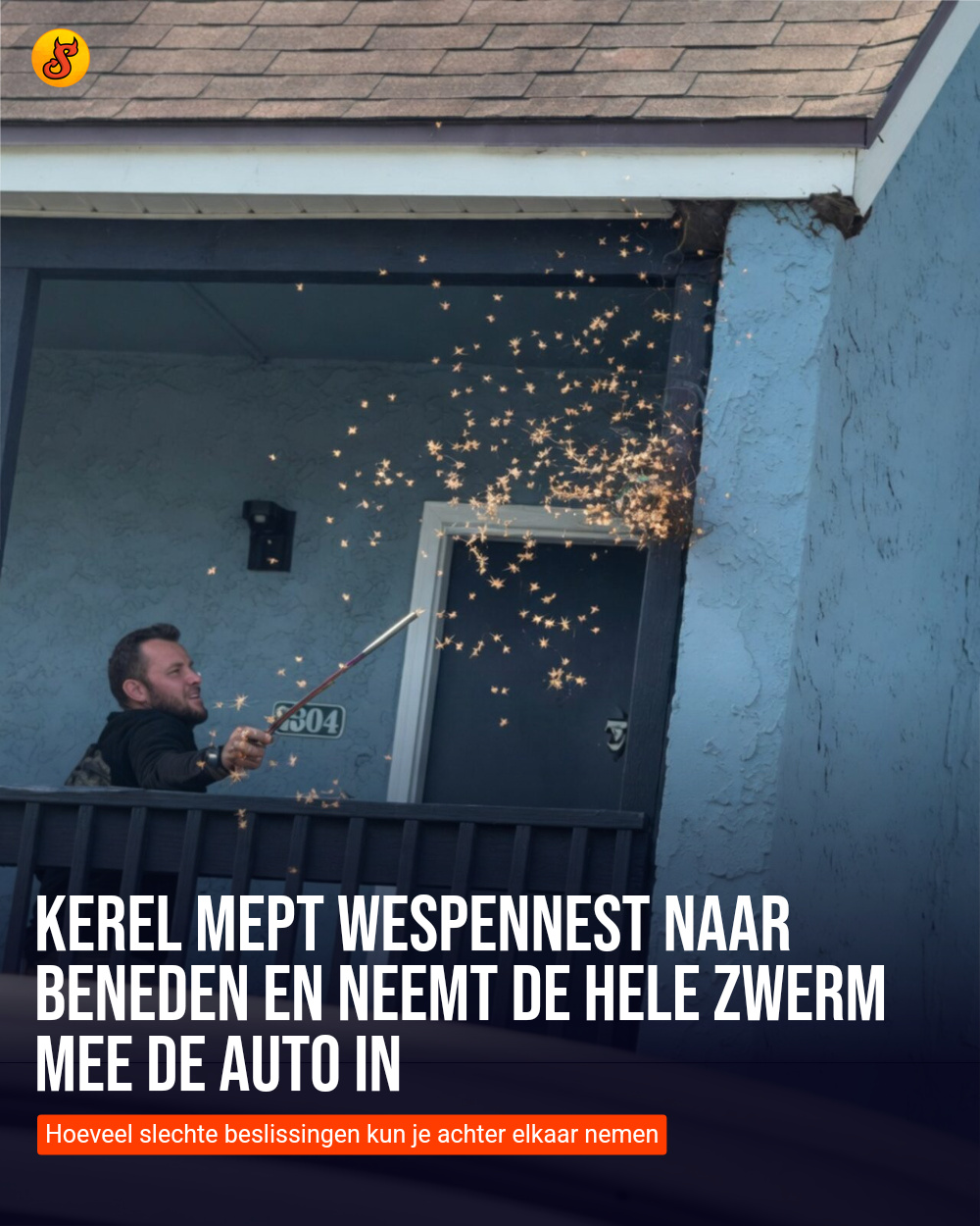 Kerel mept wespennest naar beneden en neemt de hele zwerm mee de auto in