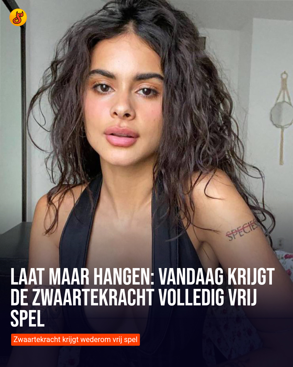 Laat maar hangen: Vandaag krijgt de zwaartekracht volledig vrij spel