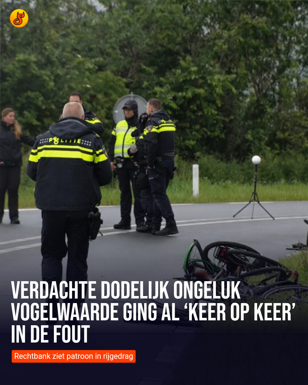 Verdachte dodelijk ongeluk Vogelwaarde ging al ‘keer op keer’ in de fout