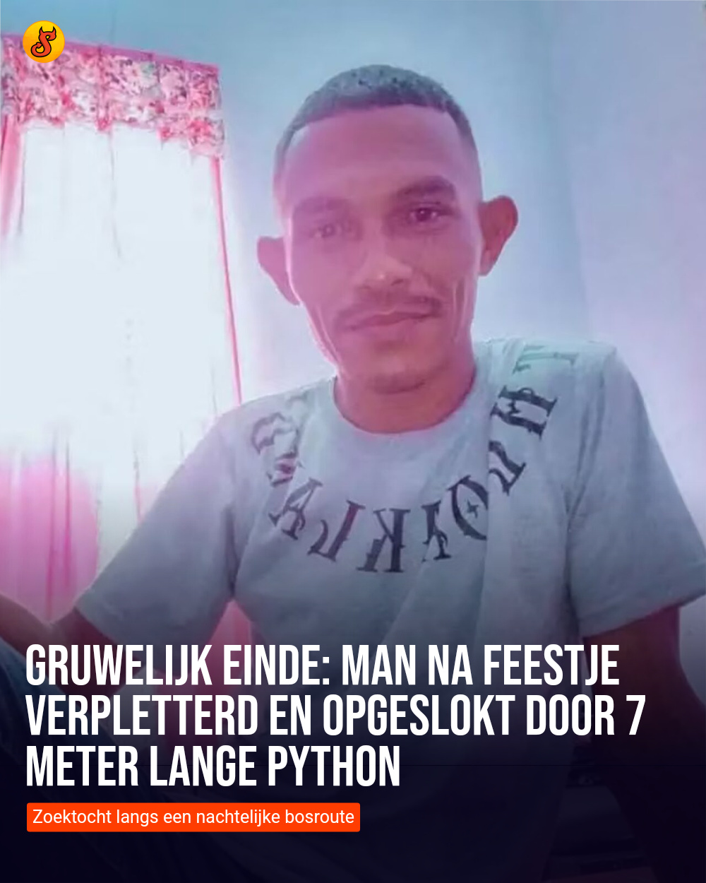 GRUWELIJK EINDE: Man na feestje verpletterd en opgeslokt door 7 meter lange python