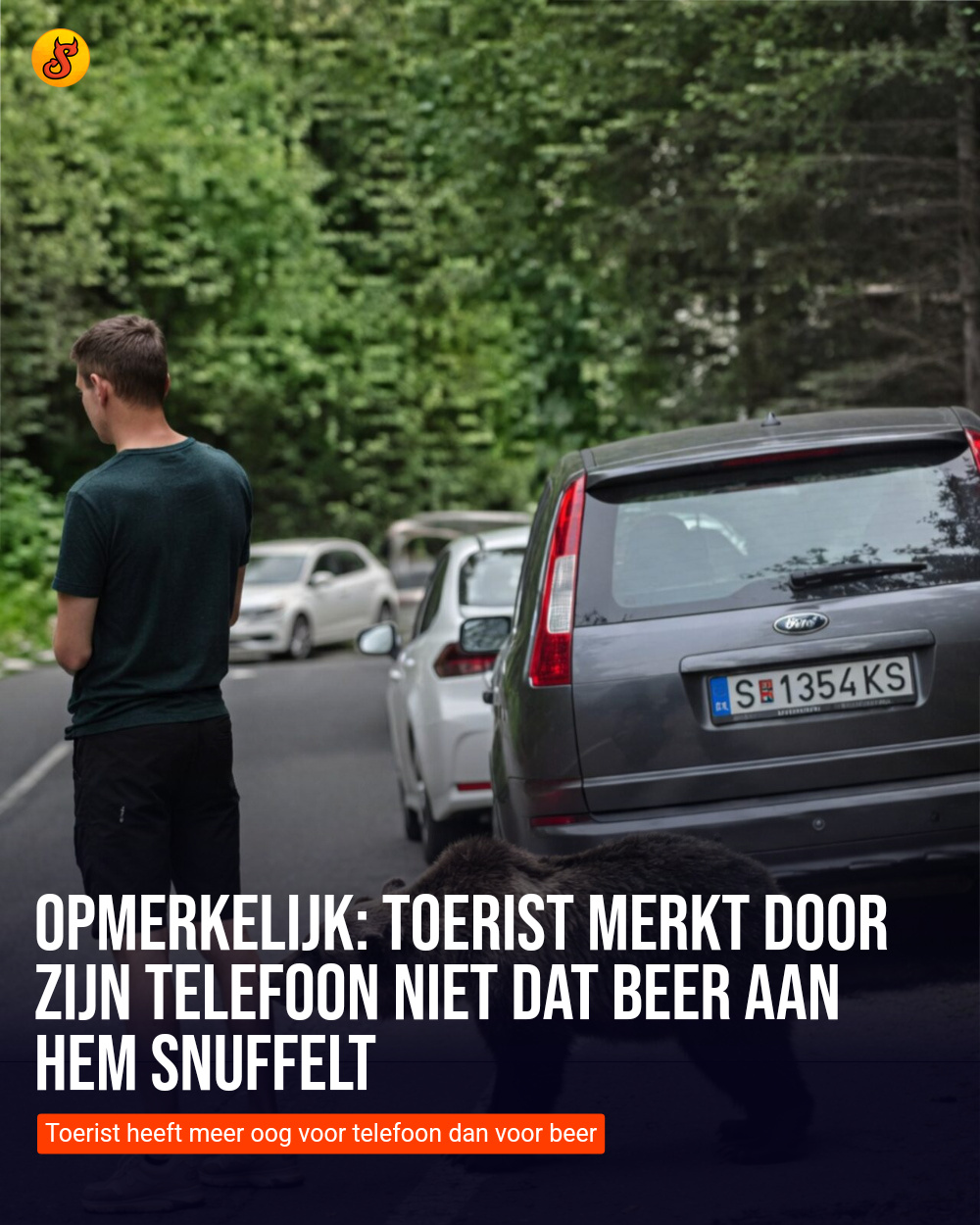 Opmerkelijk: toerist merkt door zijn telefoon niet dat beer aan hem snuffelt