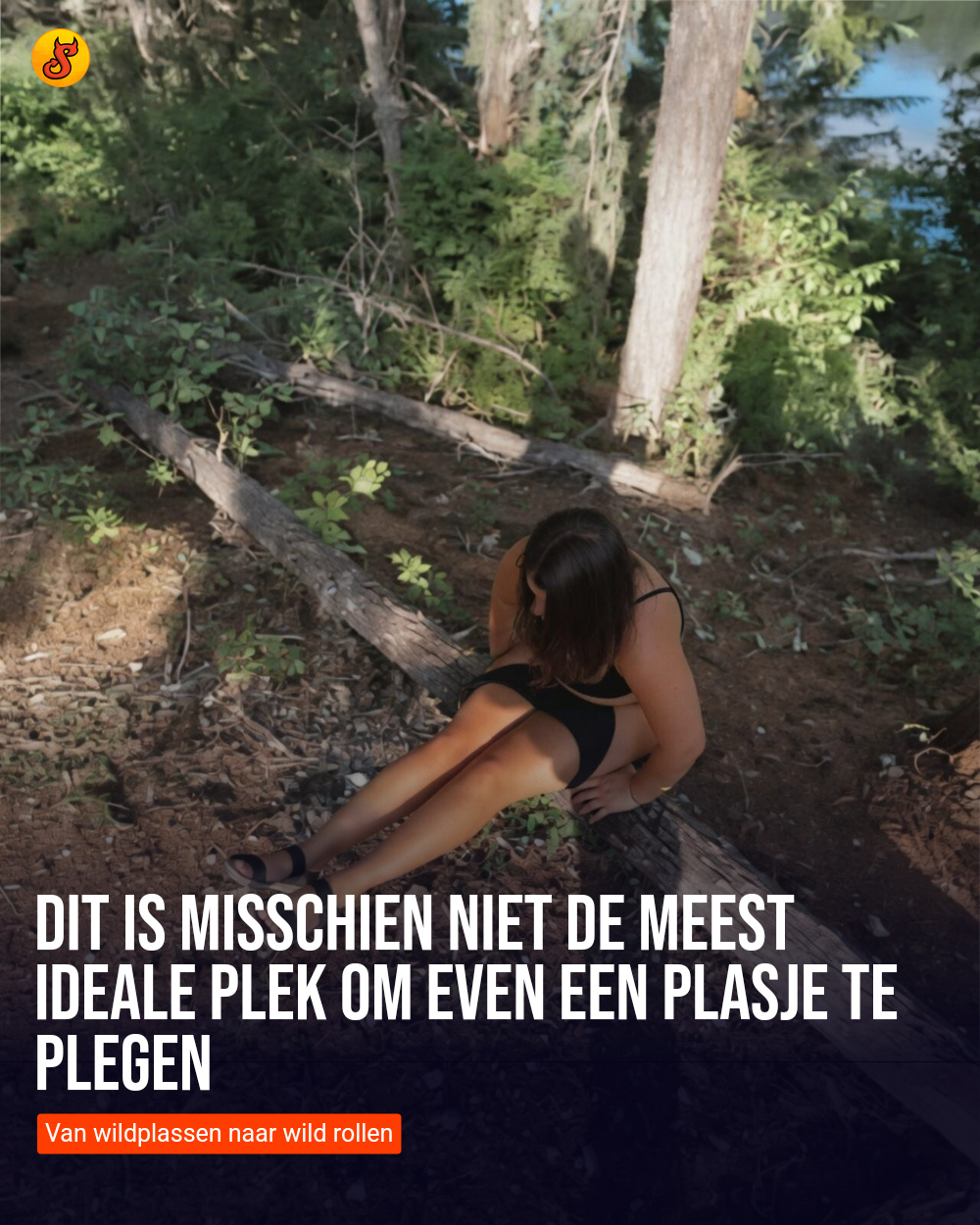 Dit is misschien niet de meest ideale plek om even een plasje te plegen