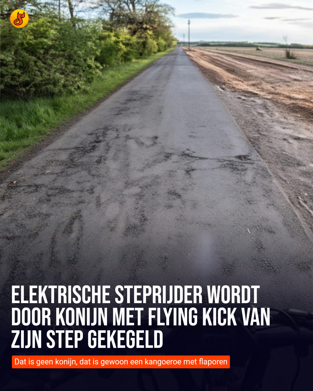 Elektrische steprijder wordt door konijn met flying kick van zijn step gekegeld