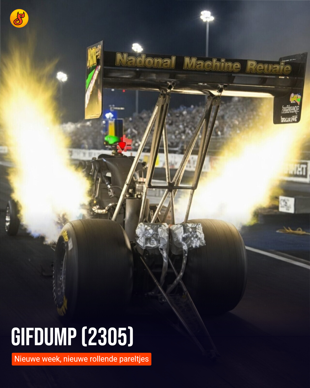 Gifdump (2305)