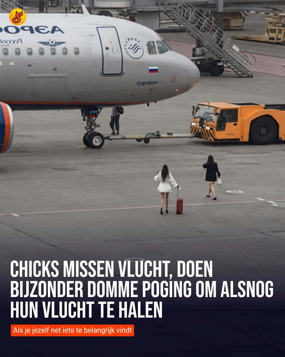 Chicks missen vlucht, doen bijzonder domme poging om alsnog hun vlucht te halen