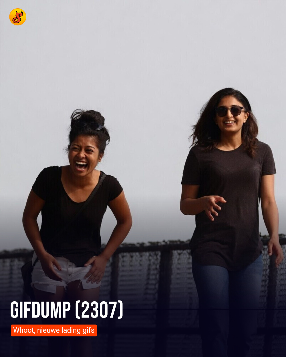 Gifdump (2307)