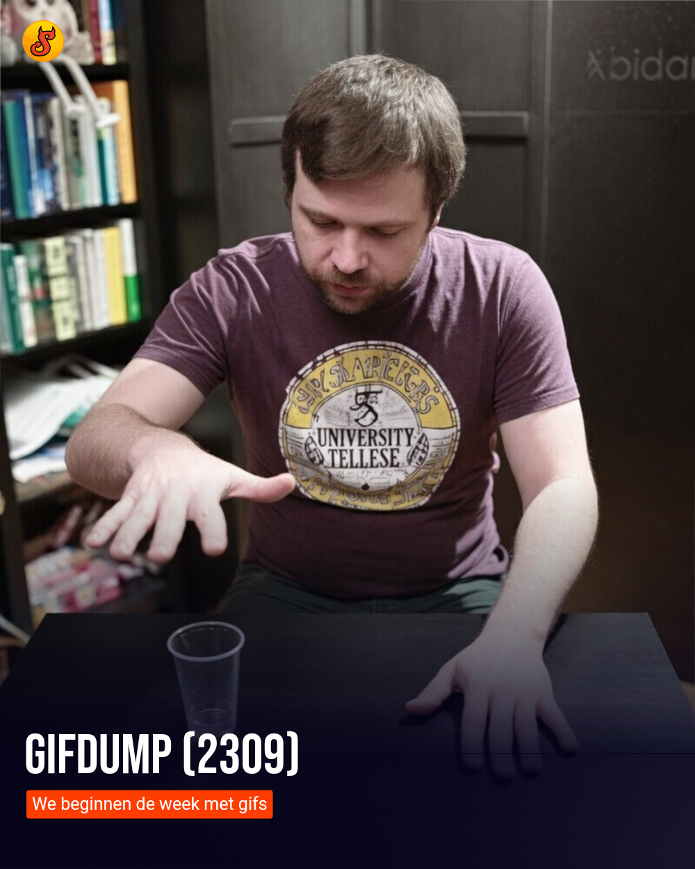 Gifdump (2309)