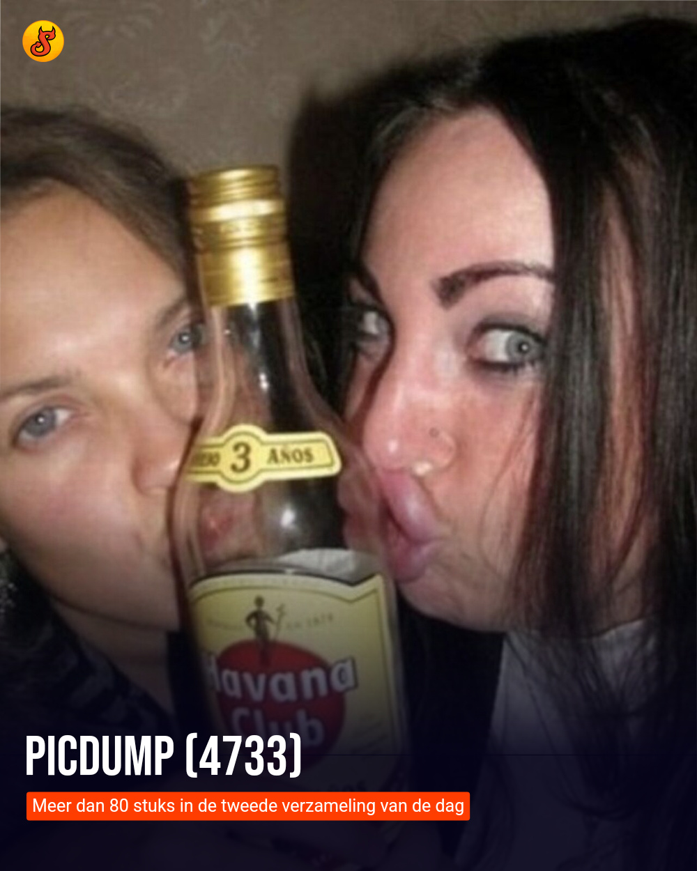 Picdump (4733)