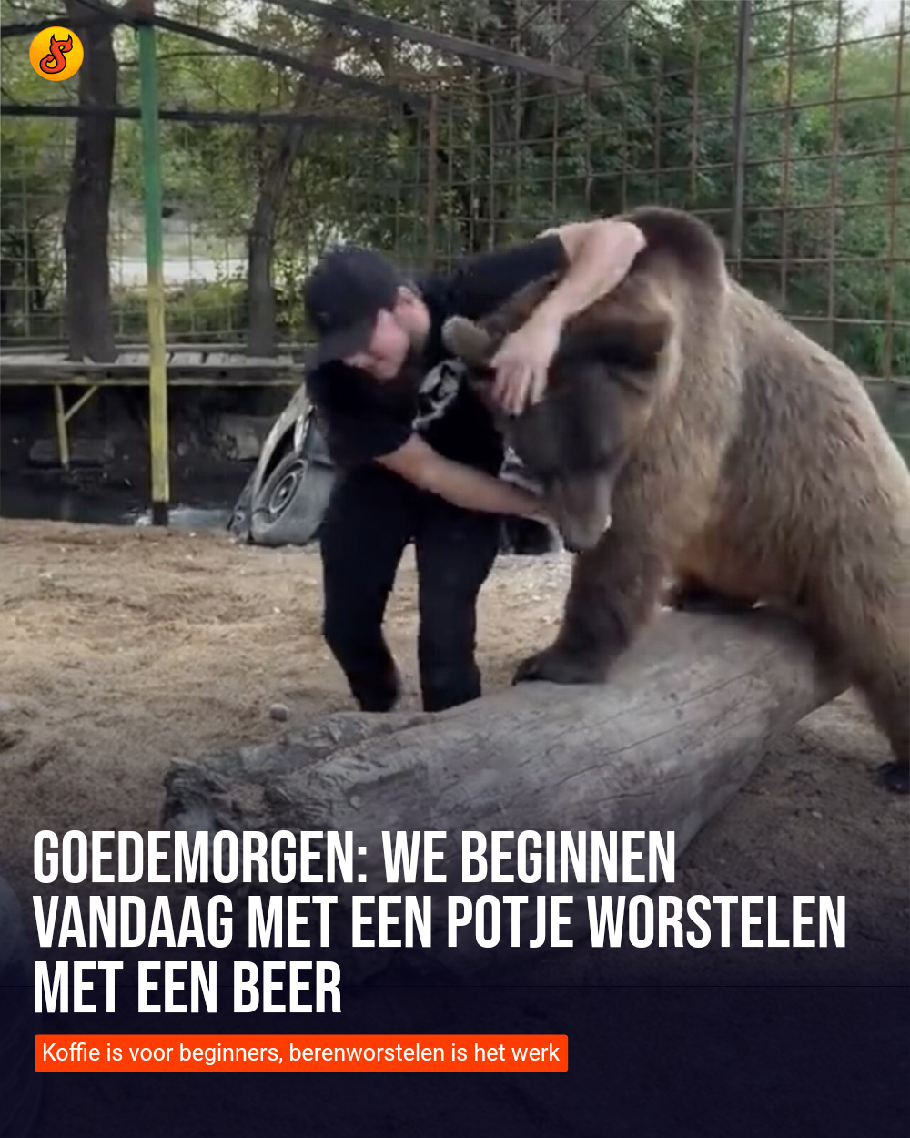Goedemorgen: We beginnen vandaag met een potje worstelen met een beer