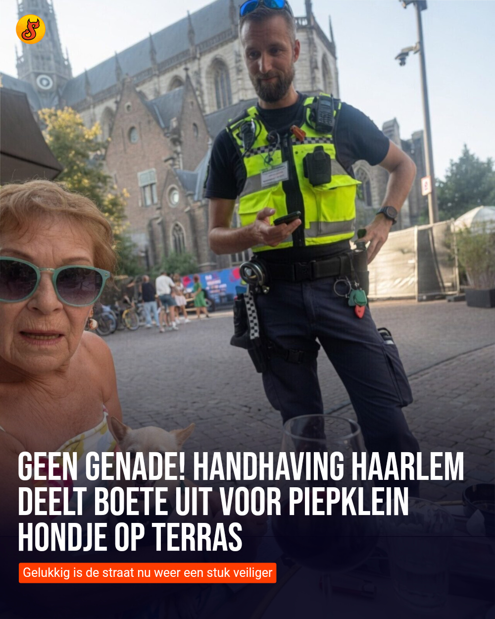 Geen genade! Handhaving Haarlem deelt boete uit voor piepklein hondje op terras