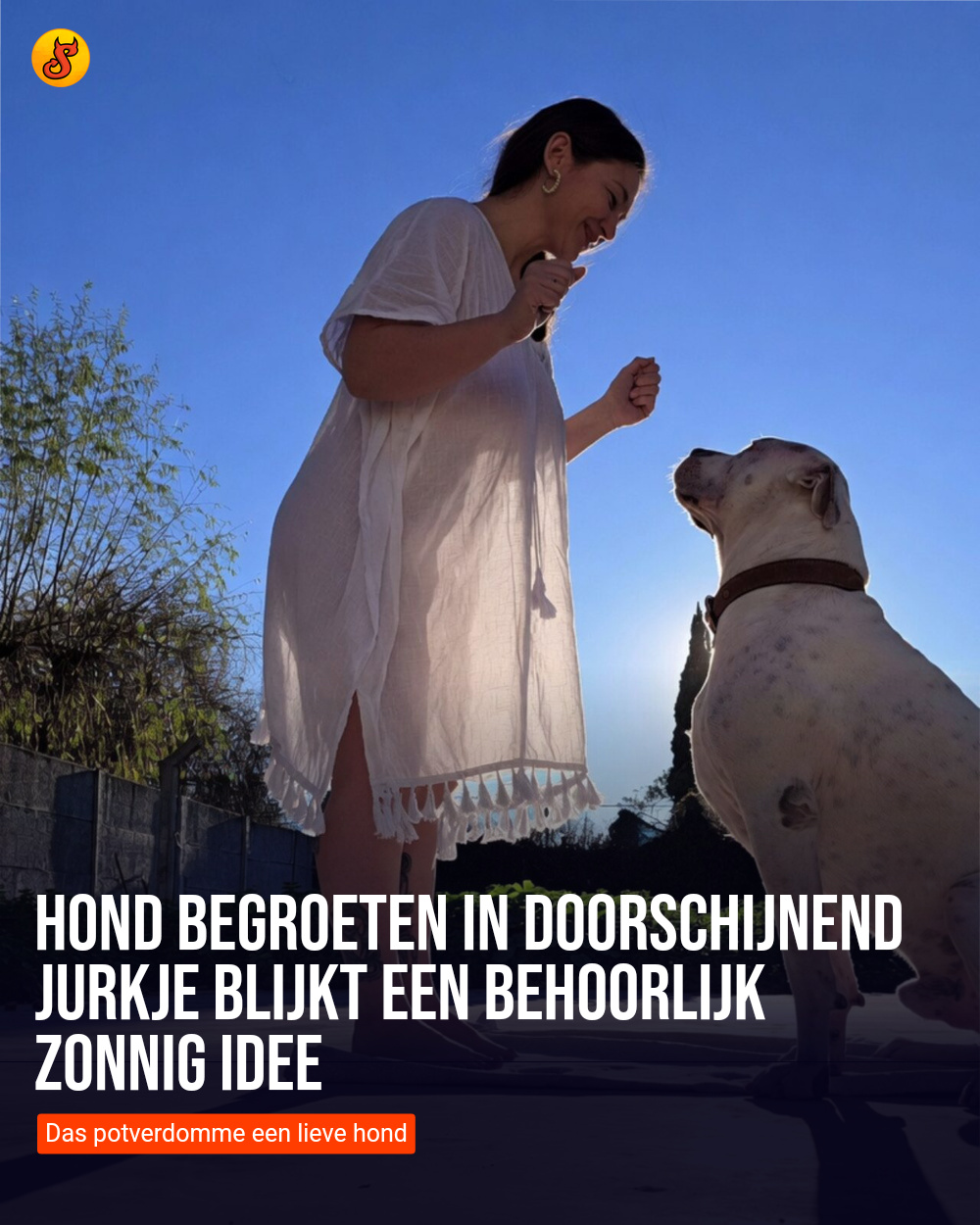 Hond begroeten in doorschijnend jurkje blijkt een behoorlijk zonnig idee