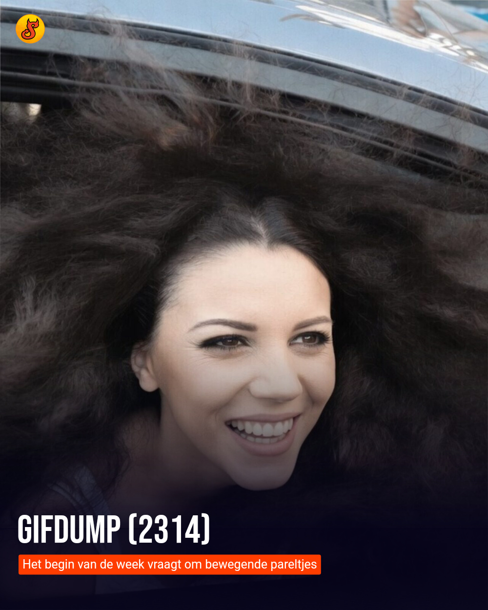 Gifdump (2314)