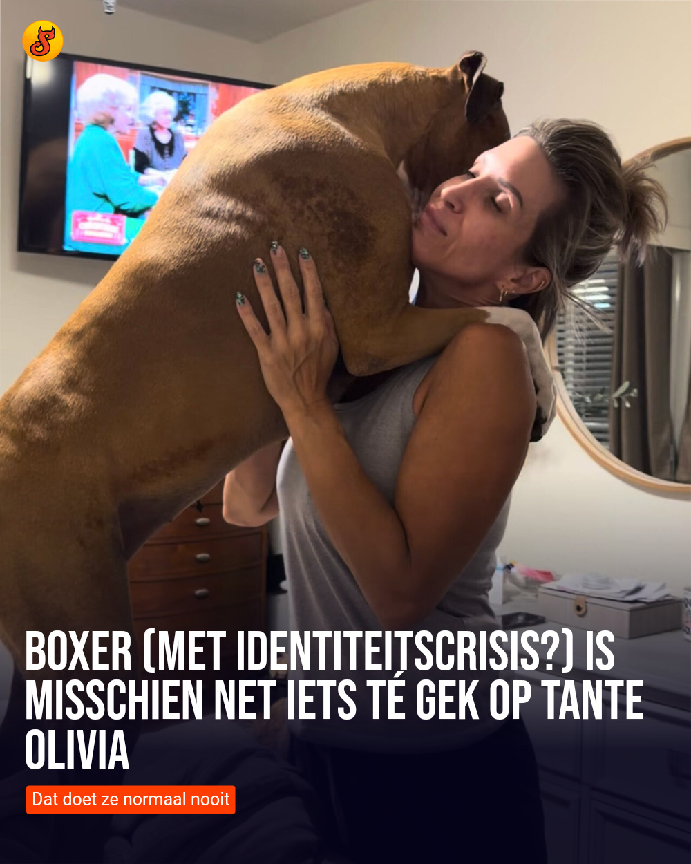 Boxer (met identiteitscrisis?) is misschien net iets té gek op tante Olivia