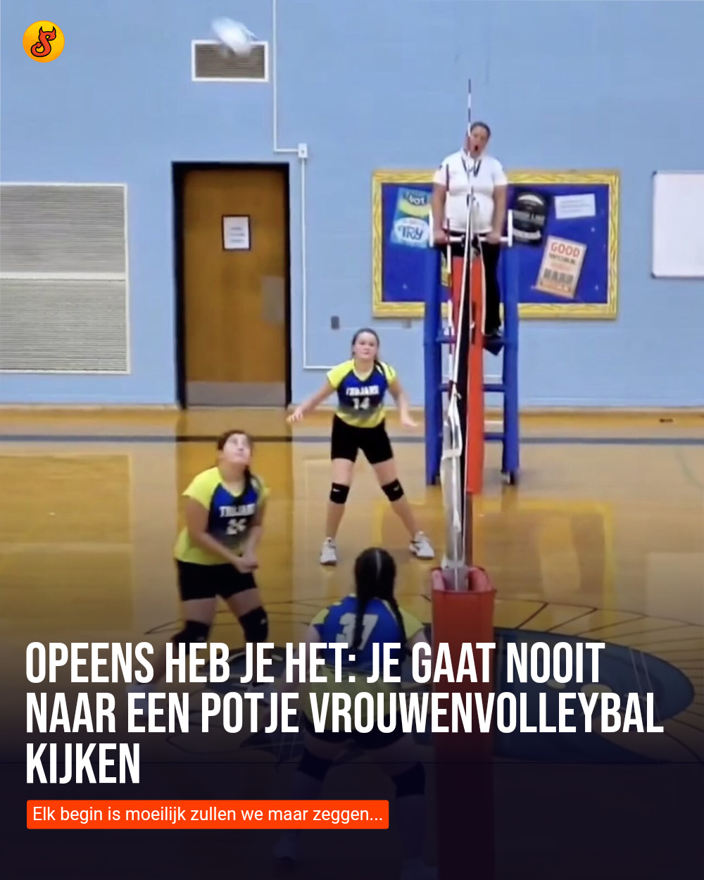 Opeens heb je het: Je gaat nooit naar een potje vrouwenvolleybal kijken