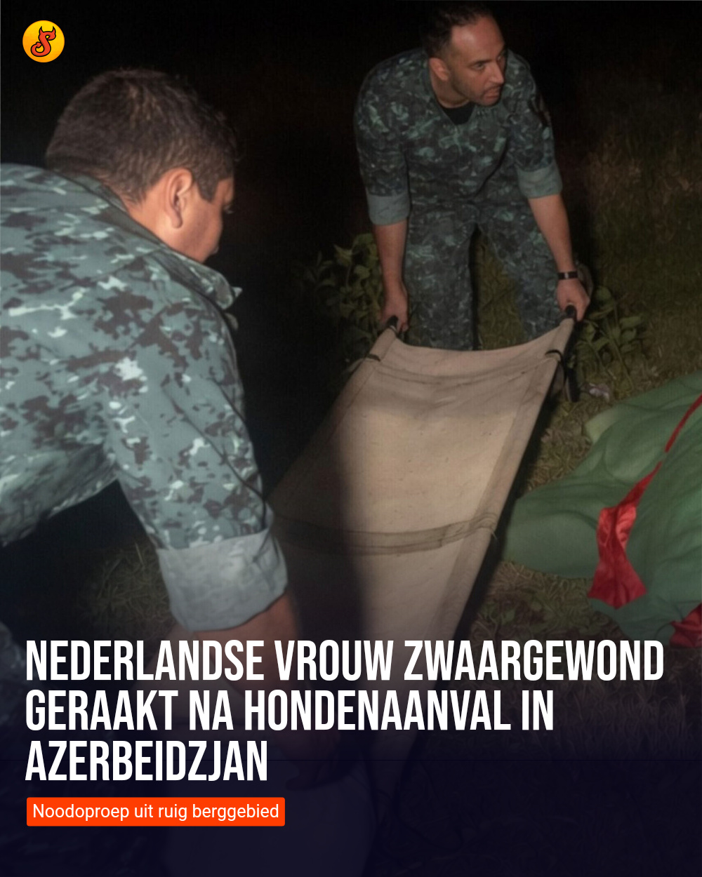 Nederlandse vrouw zwaargewond geraakt na hondenaanval in Azerbeidzjan