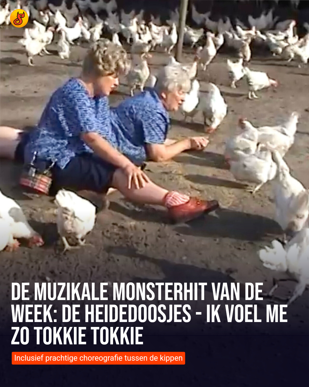 De muzikale monsterhit van de week: De Heidedoosjes - Ik voel me zo Tokkie Tokkie