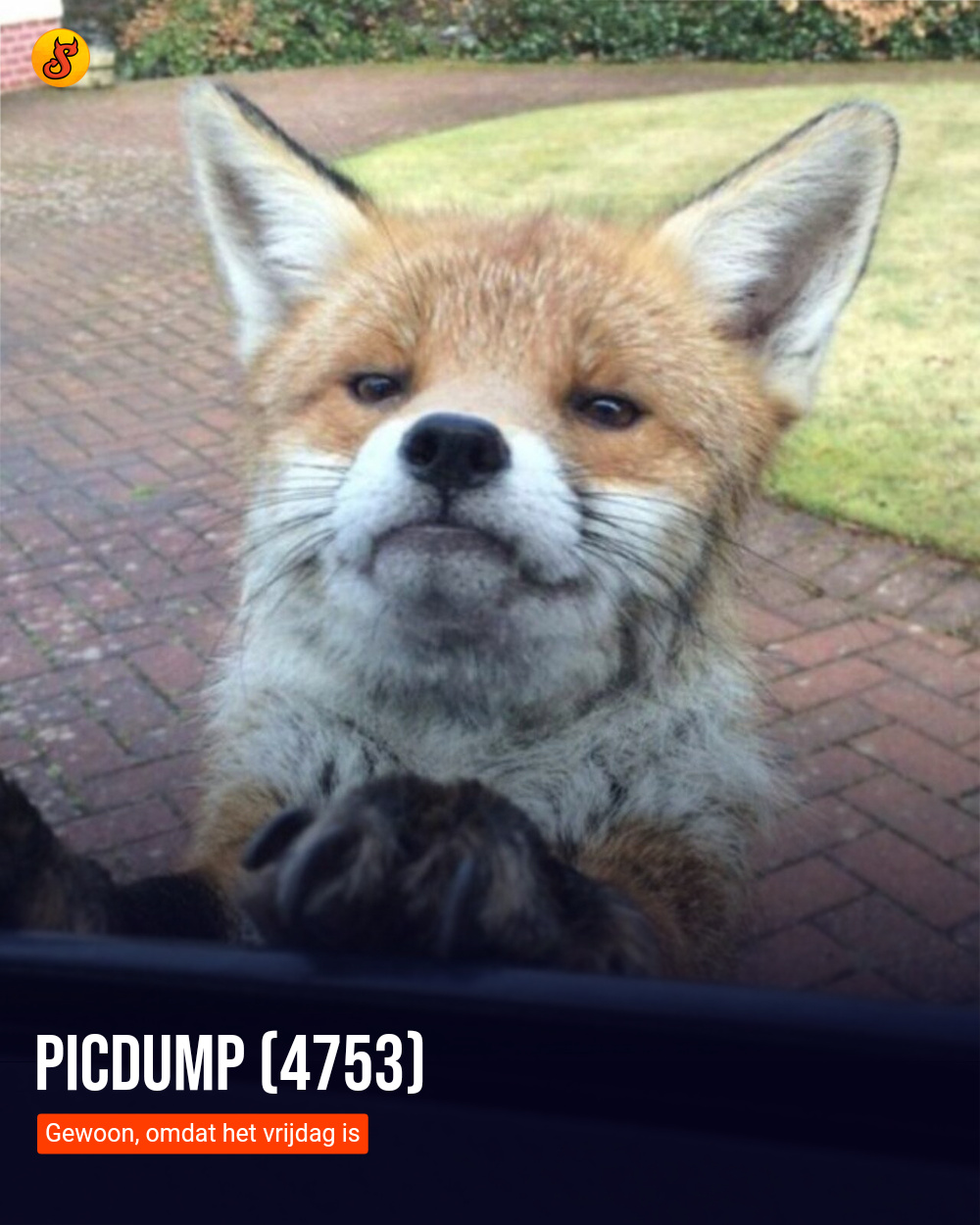 Picdump (4753)
