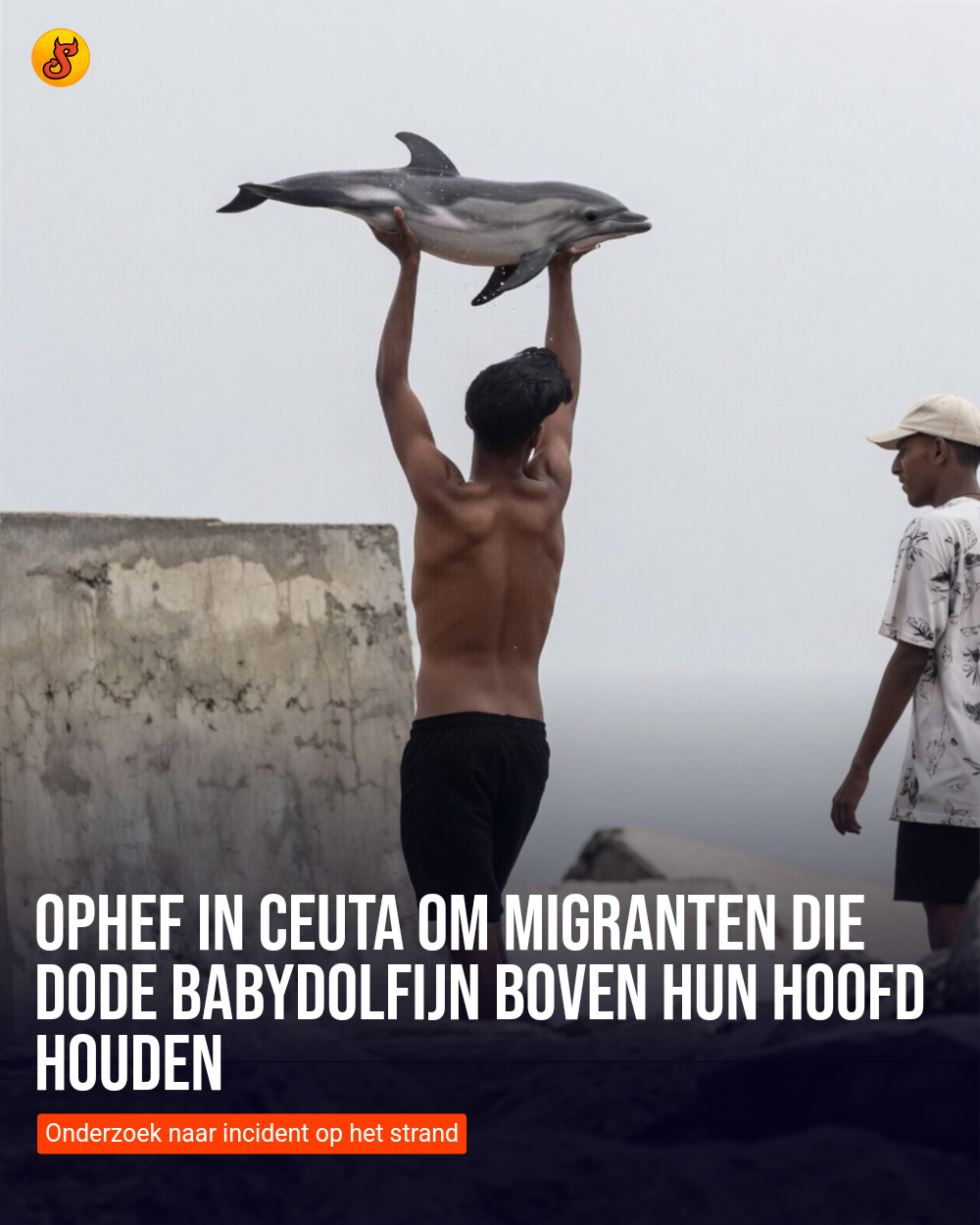 Ophef in Ceuta om migranten die dode babydolfijn boven hun hoofd houden