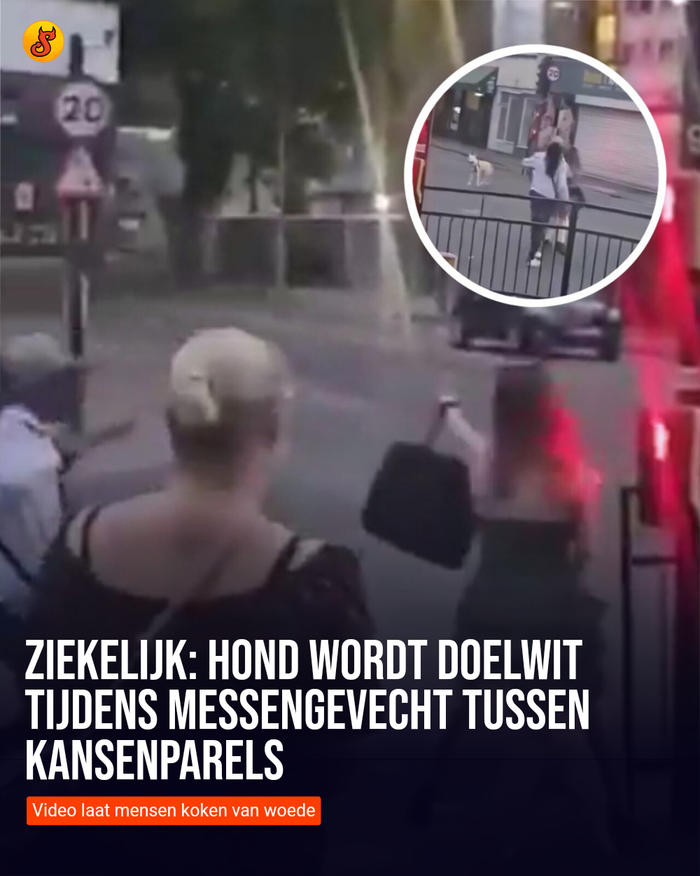 Ziekelijk: Hond wordt doelwit tijdens messengevecht tussen kansenparels