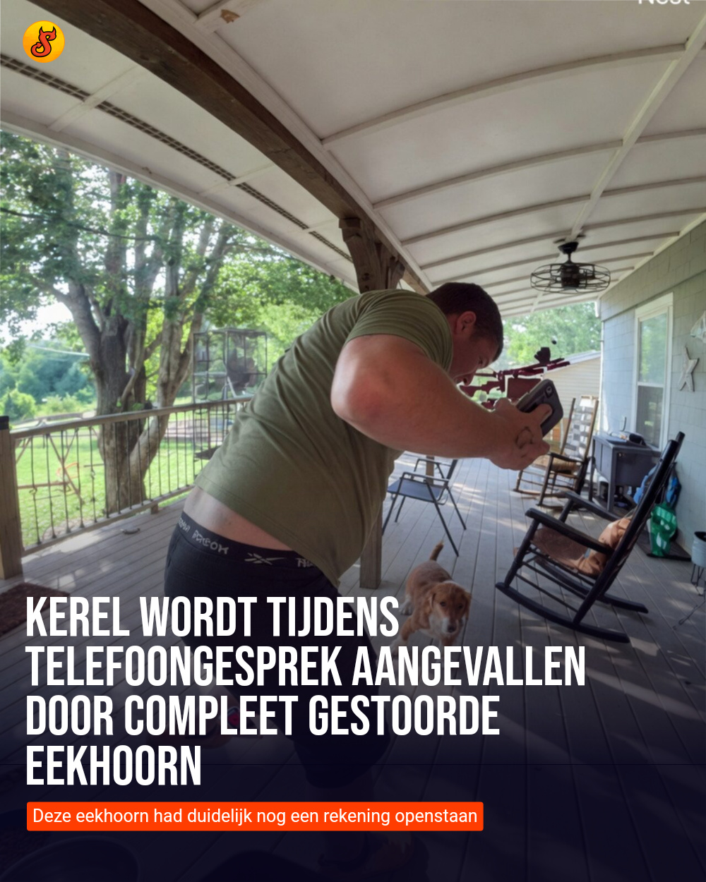 Kerel wordt tijdens telefoongesprek aangevallen door compleet gestoorde eekhoorn