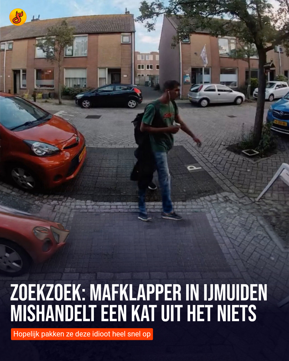 Zoekzoek: Mafklapper in IJmuiden mishandelt een kat uit het niets