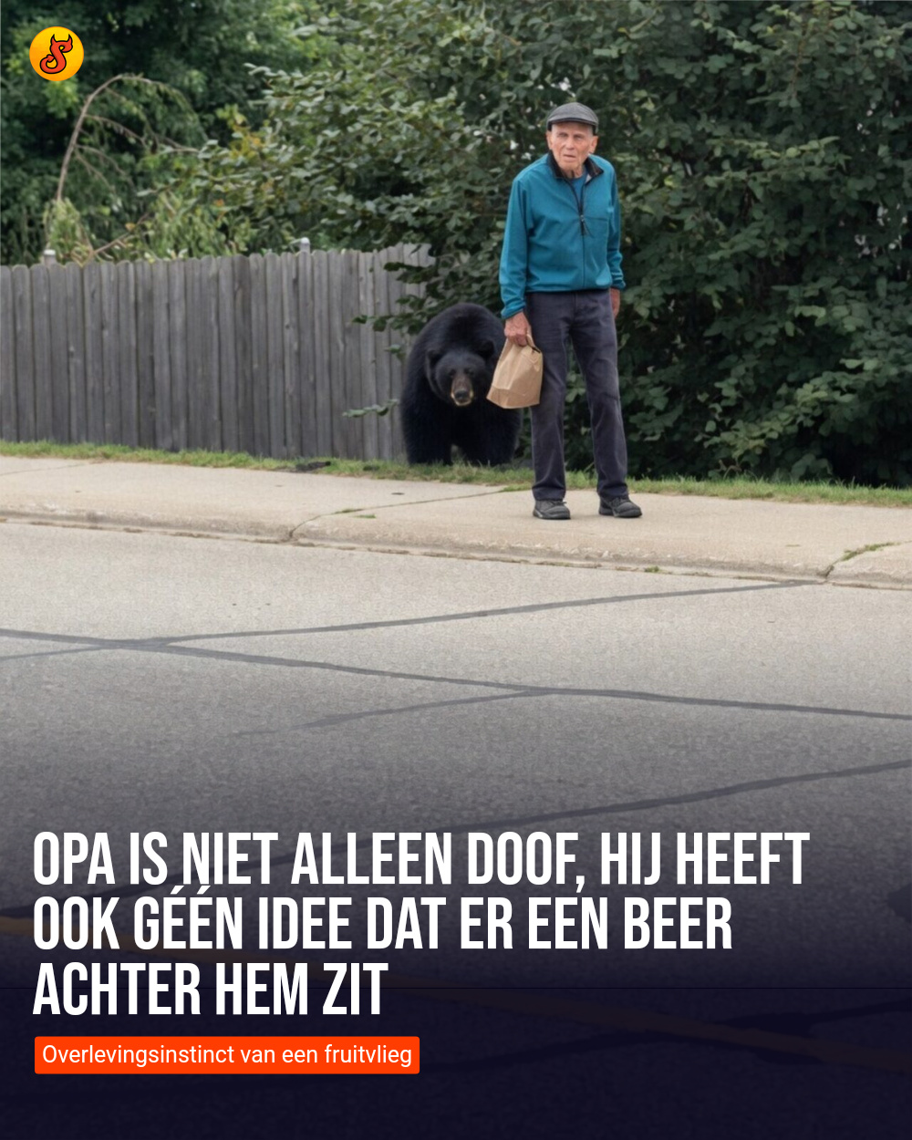 Opa is niet alleen doof, hij heeft ook géén idee dat er een beer achter hem zit