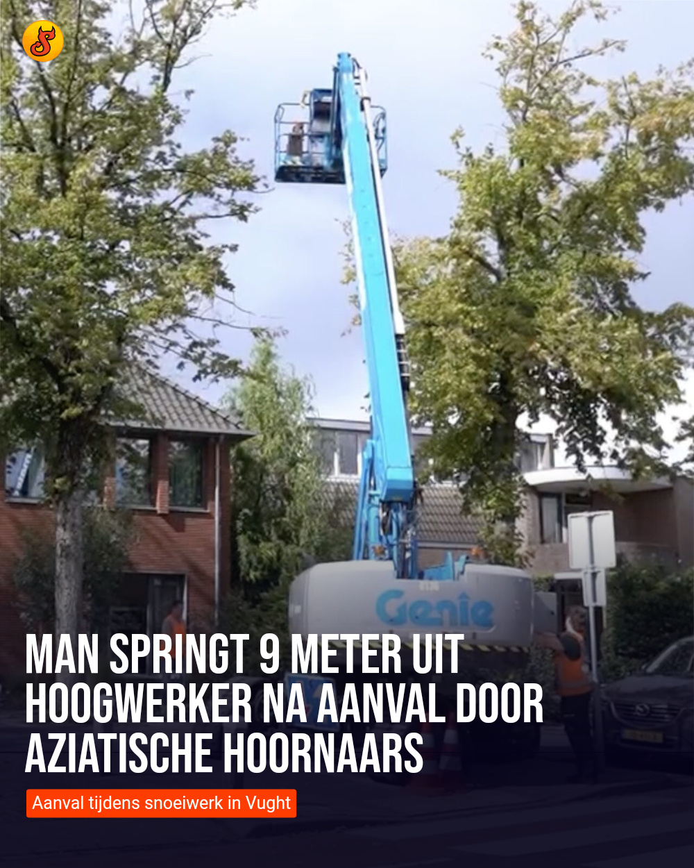 Man springt 9 meter uit hoogwerker na aanval door Aziatische hoornaars