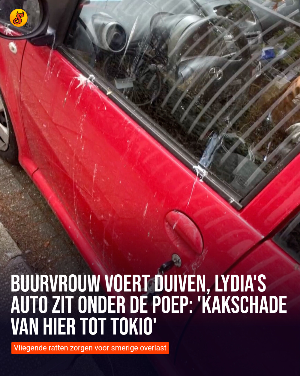 Buurvrouw voert duiven, Lydia's auto zit onder de poep: 'Kakschade van hier tot Tokio'