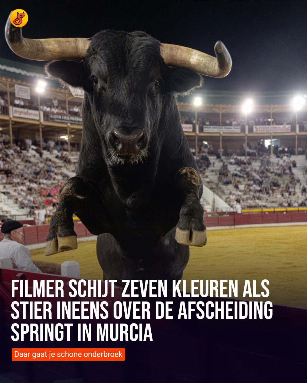 Filmer schijt zeven kleuren als stier ineens over de afscheiding springt in Murcia