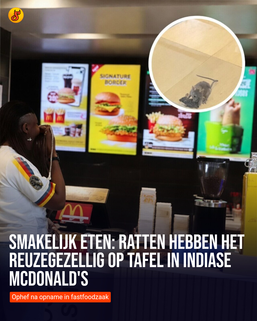 Smakelijk eten: Ratten hebben het reuzegezellig op tafel in Indiase McDonald's