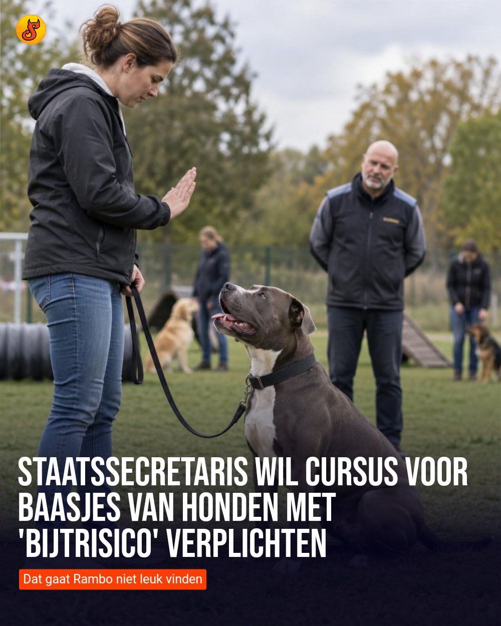 Staatssecretaris wil cursus voor baasjes van honden met 'bijtrisico' verplichten