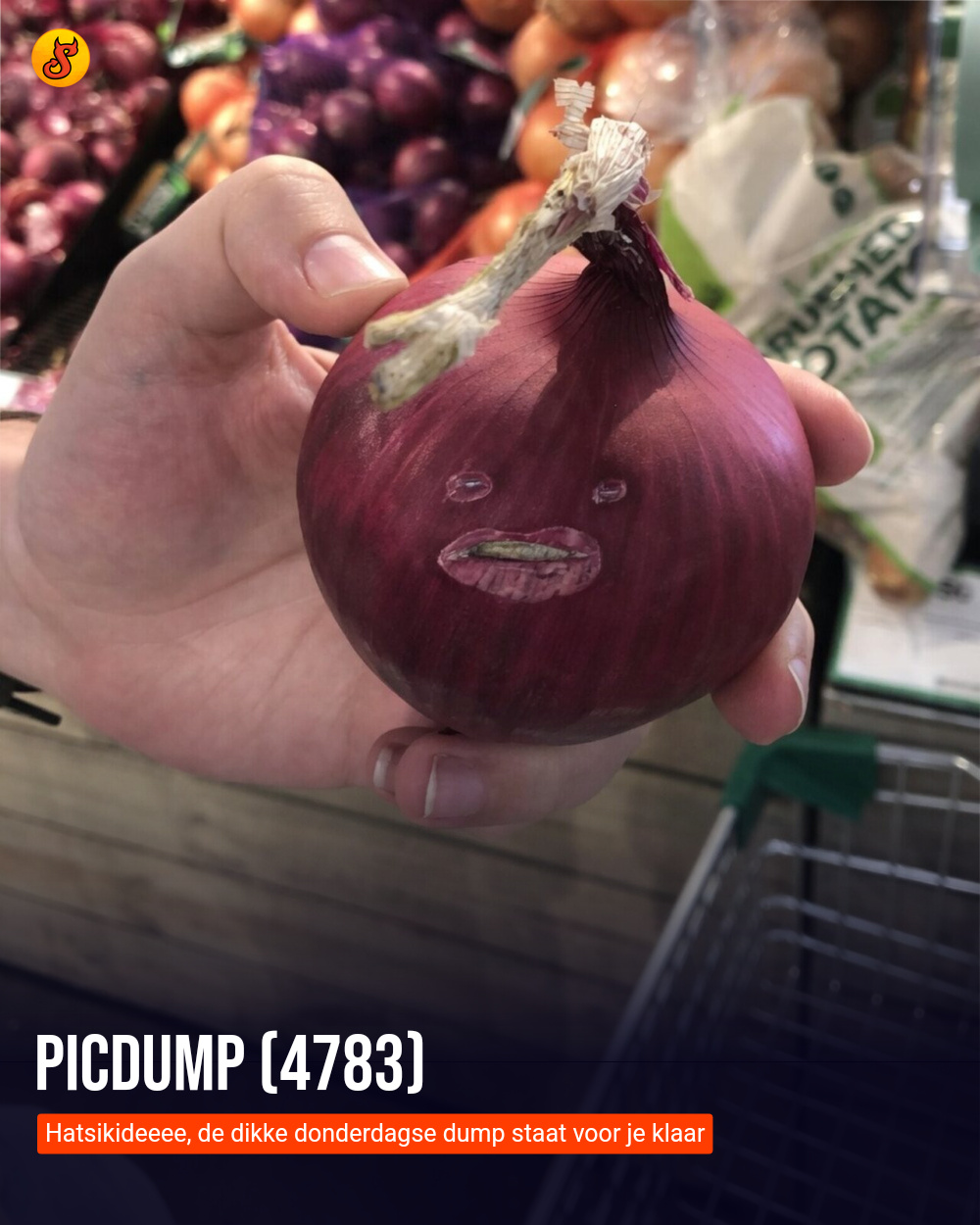 Picdump (4783)