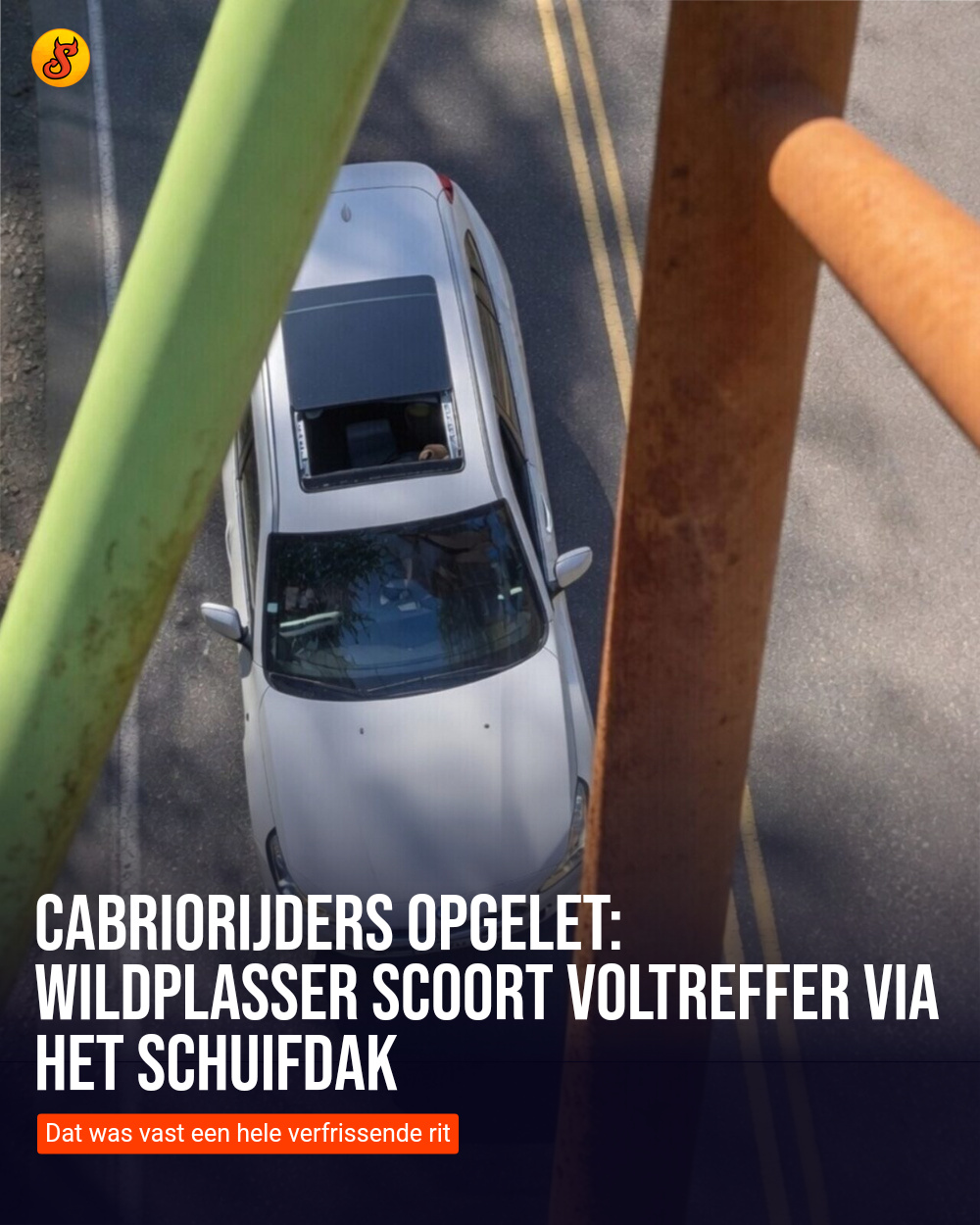 Cabriorijders opgelet: Wildplasser scoort voltreffer via het schuifdak