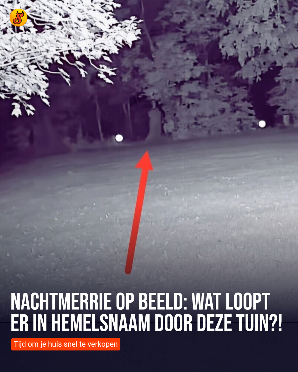 Nachtmerrie op beeld: Wat loopt er in hemelsnaam door deze tuin?!