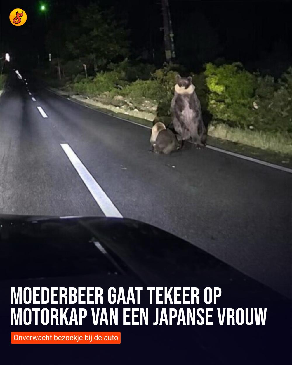 Moederbeer gaat tekeer op motorkap van een Japanse vrouw