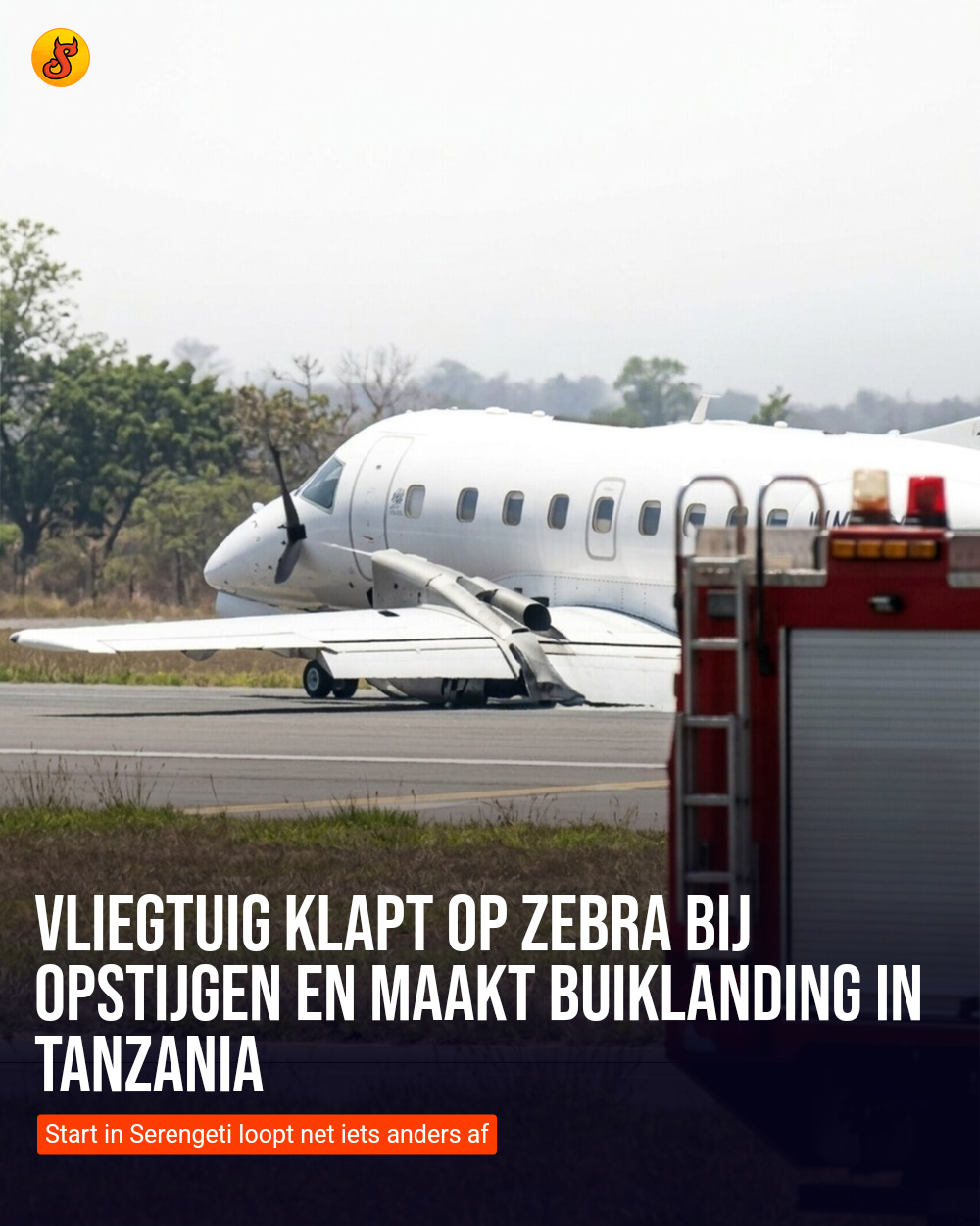 Vliegtuig klapt op zebra bij opstijgen en maakt buiklanding in Tanzania