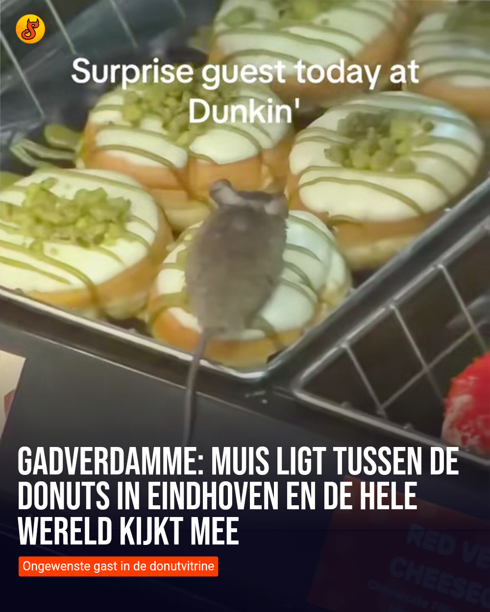 Gadverdamme: Muis ligt tussen de donuts in Eindhoven en de hele wereld kijkt mee