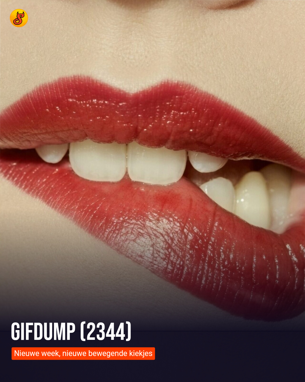Gifdump (2344)