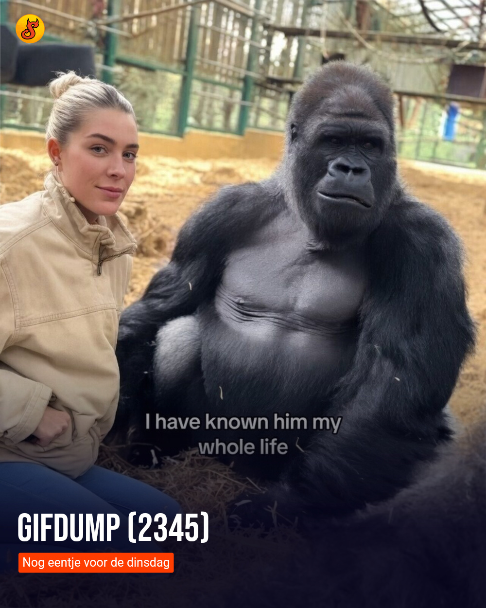 Gifdump (2345)