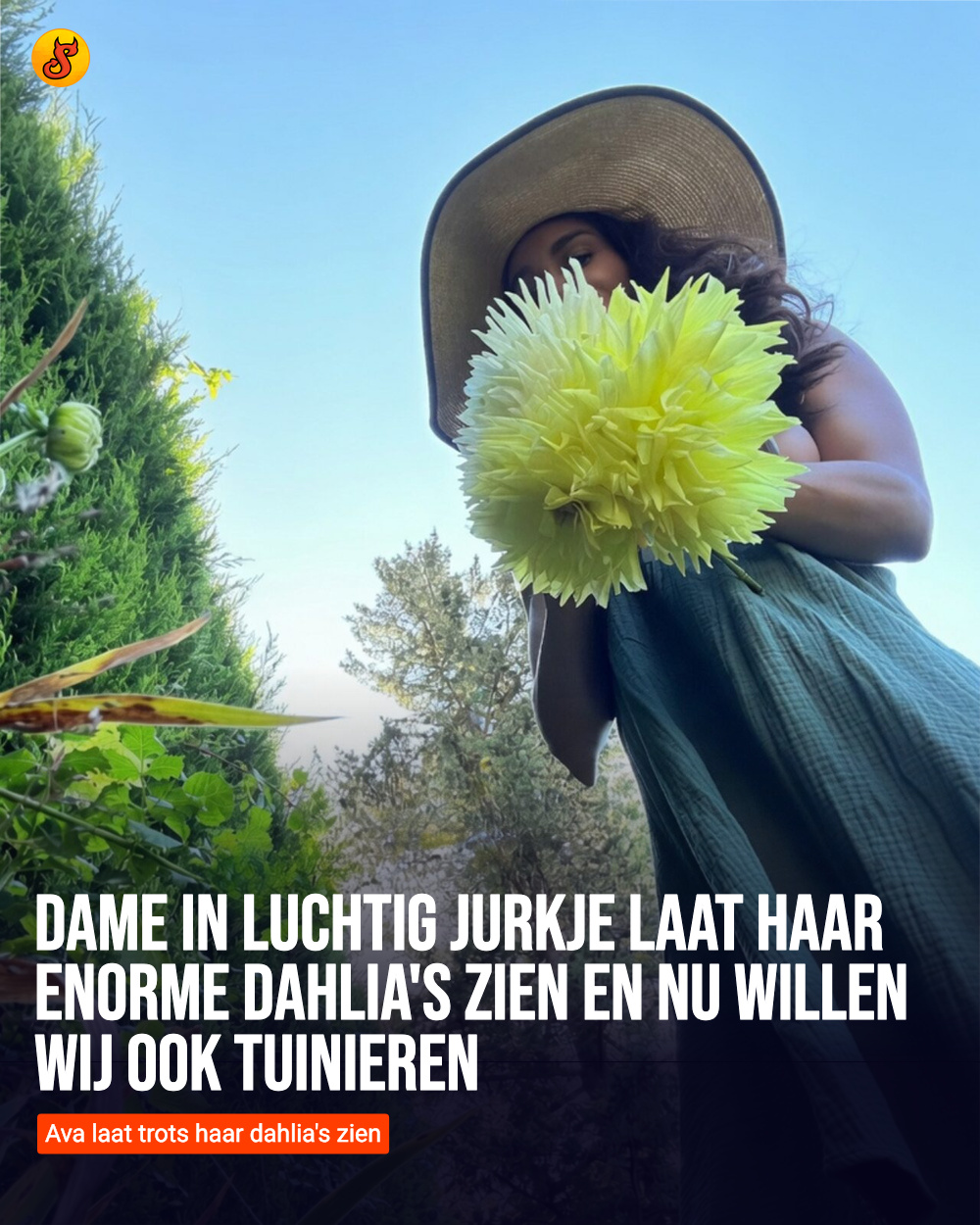 Dame in luchtig jurkje laat haar enorme dahlia's zien en nu willen wij ook tuinieren