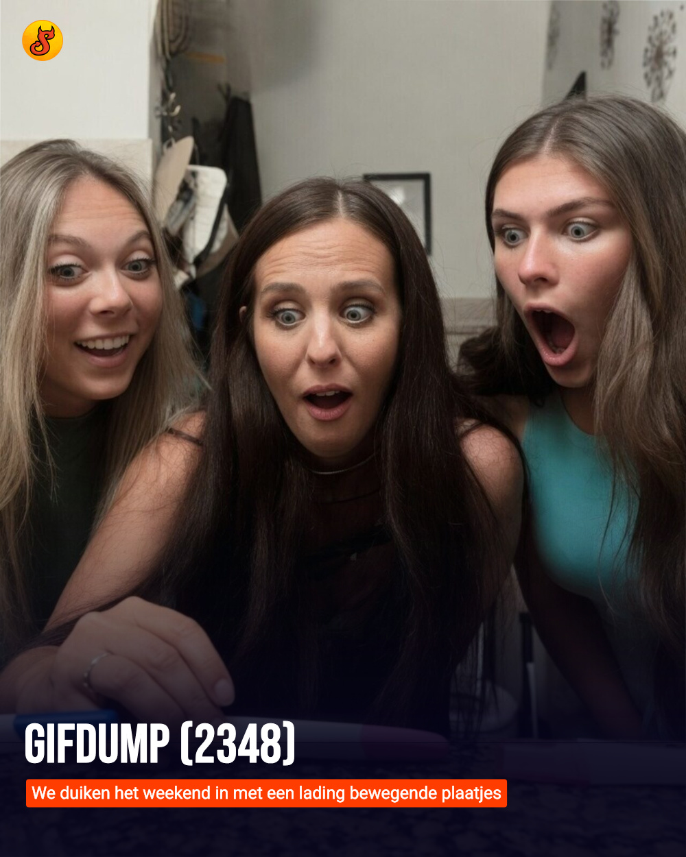 Gifdump (2348)