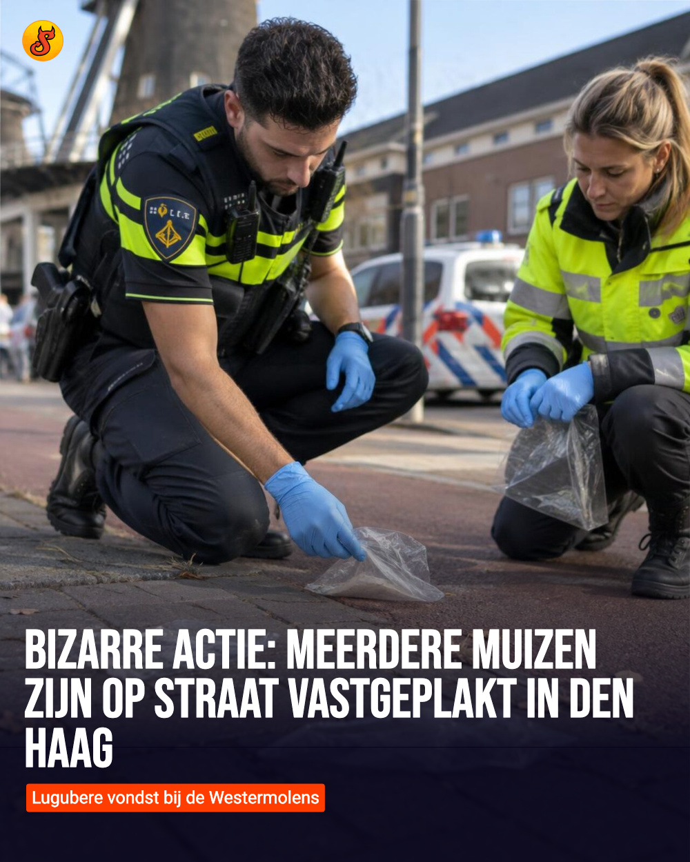 Bizarre actie: Meerdere muizen zijn op straat vastgeplakt in Den Haag