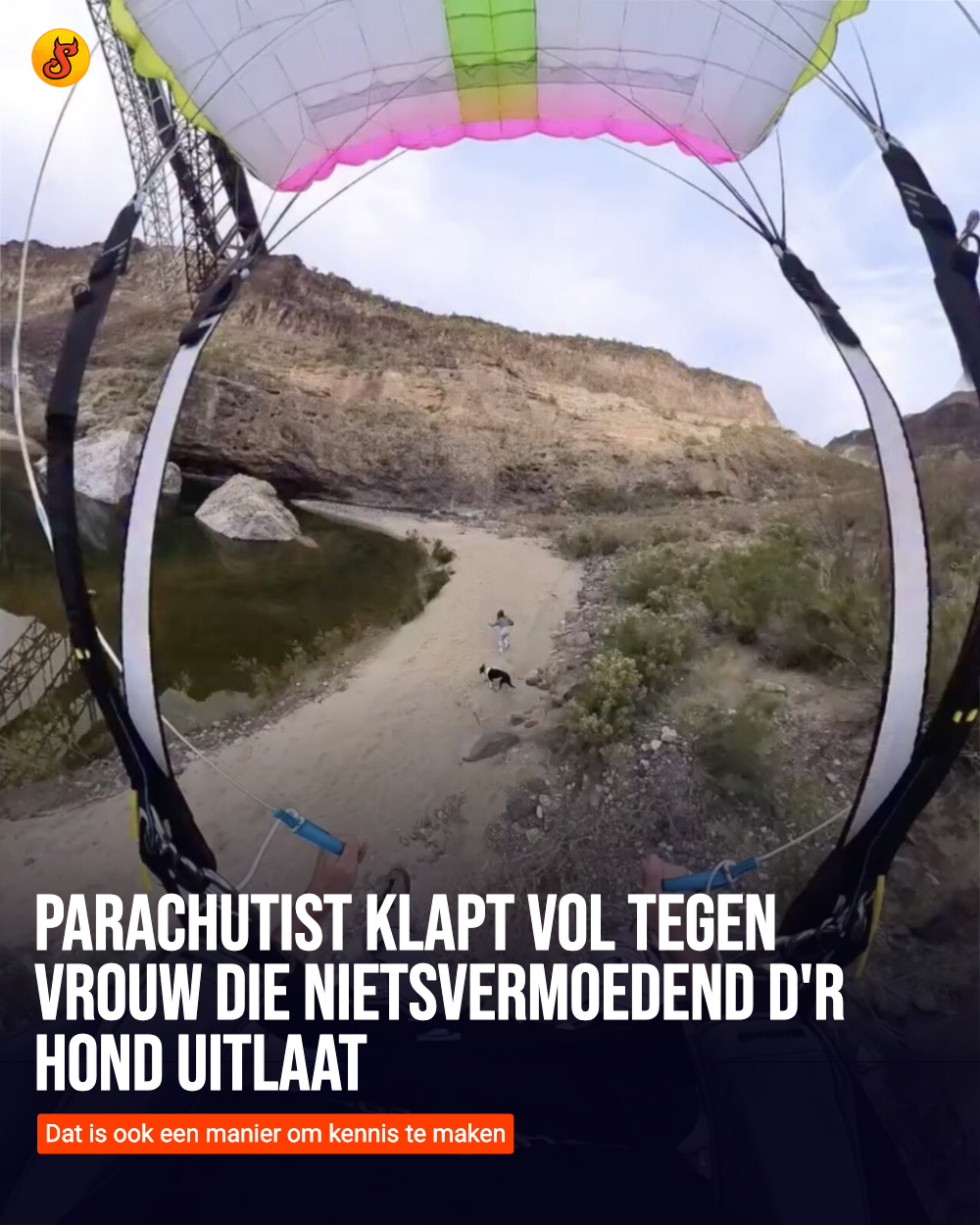 Parachutist klapt vol tegen vrouw die nietsvermoedend d'r hond uitlaat