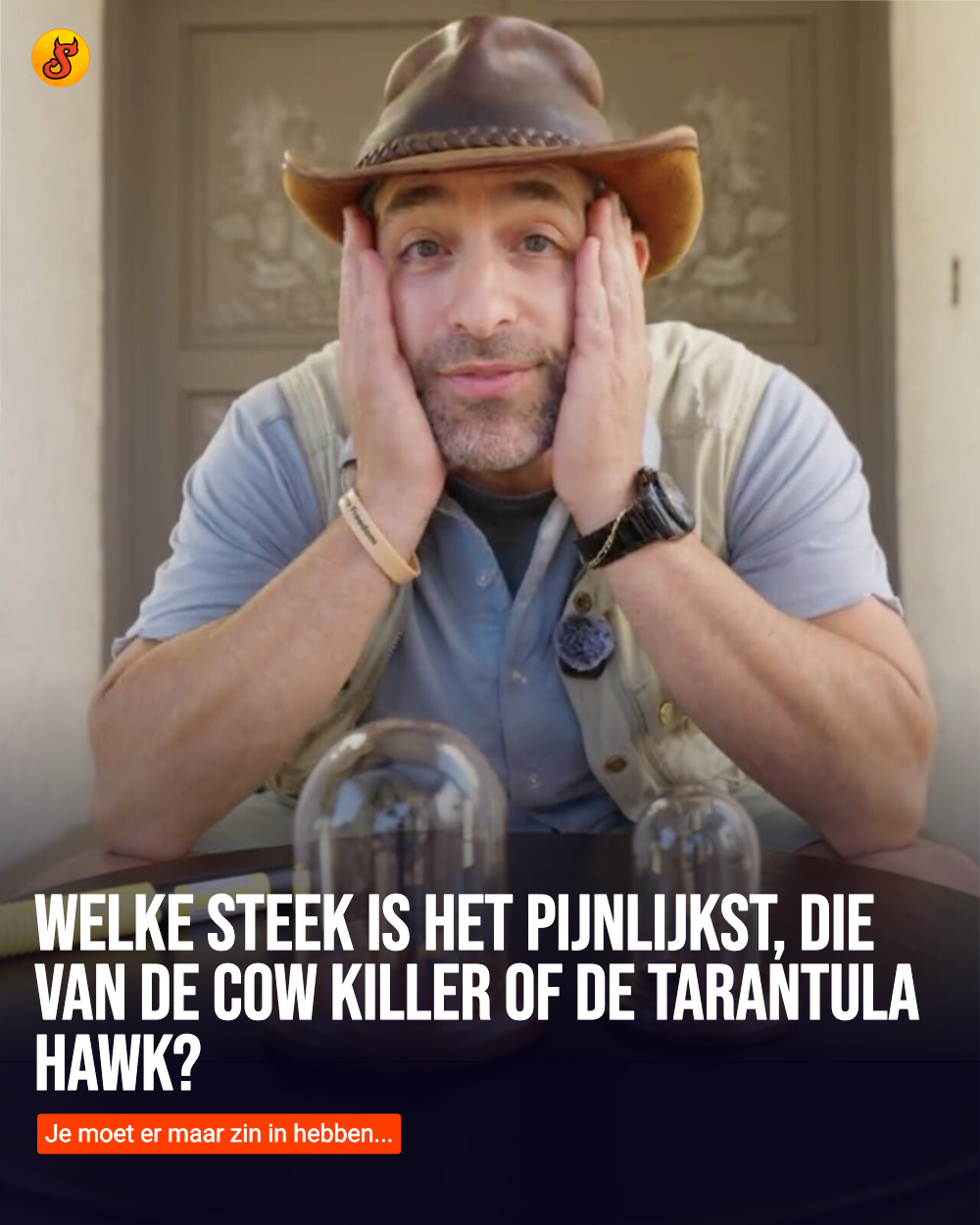 Welke steek is het pijnlijkst, die van de Cow Killer of de Tarantula Hawk?
