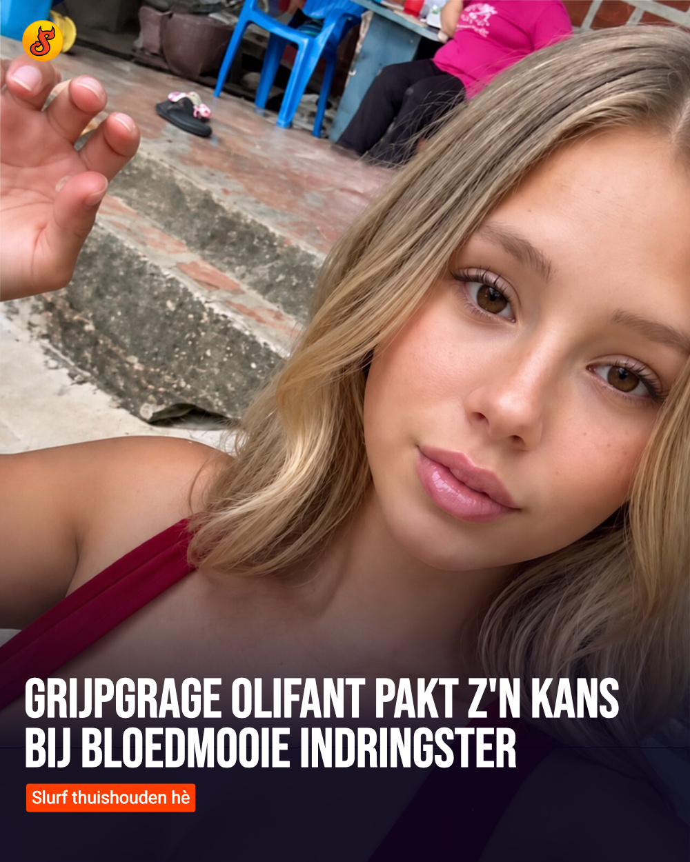 Grijpgrage olifant pakt z'n kans bij bloedmooie indringster